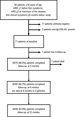 Functional Recovery in Autoimmune Encephalitis: A Prospective Observational Study